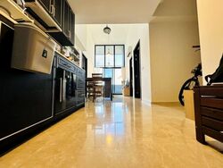 Mayfair Modern (D21), Condominium #498829311